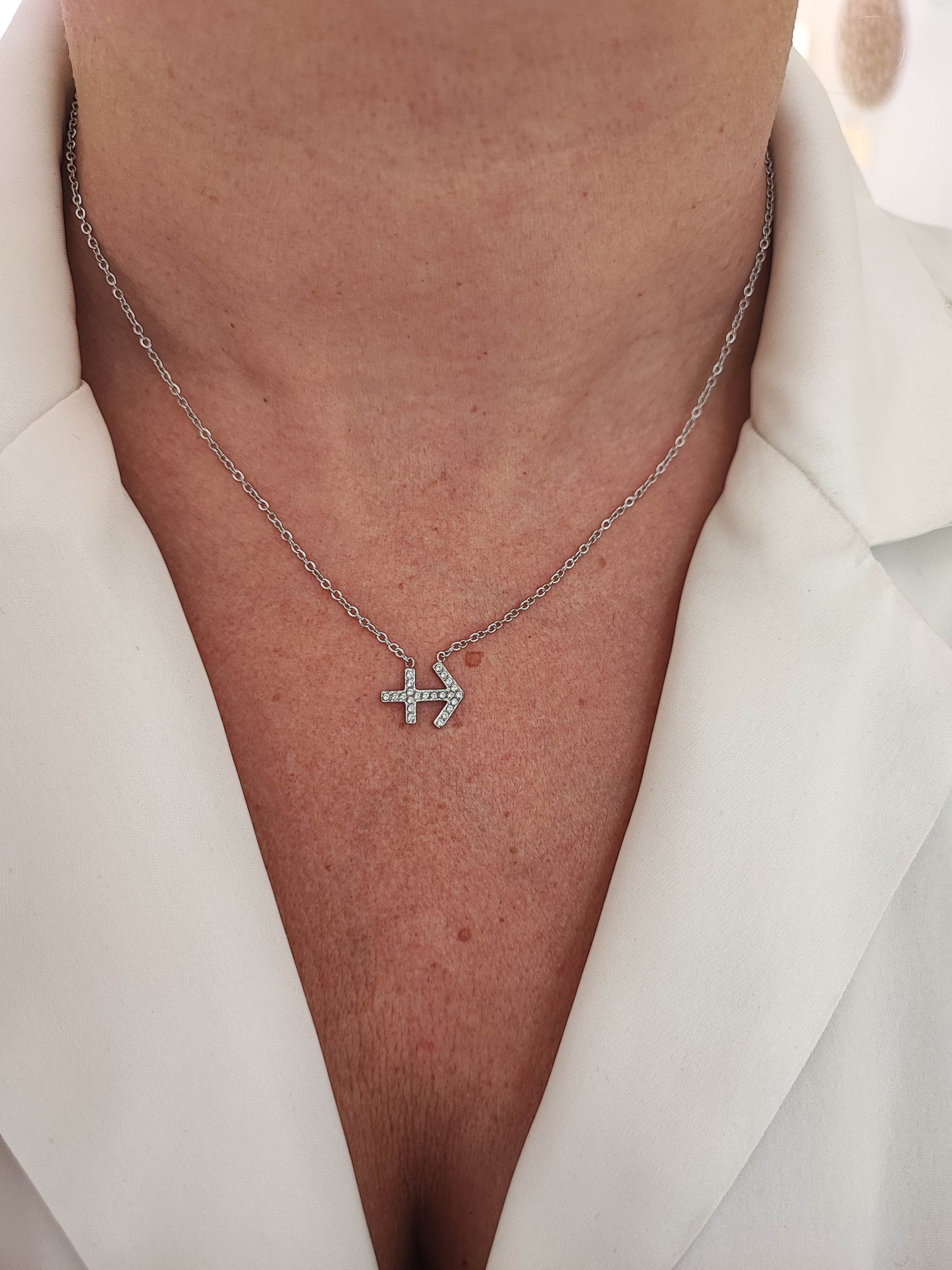 Collier Zodiaque silver