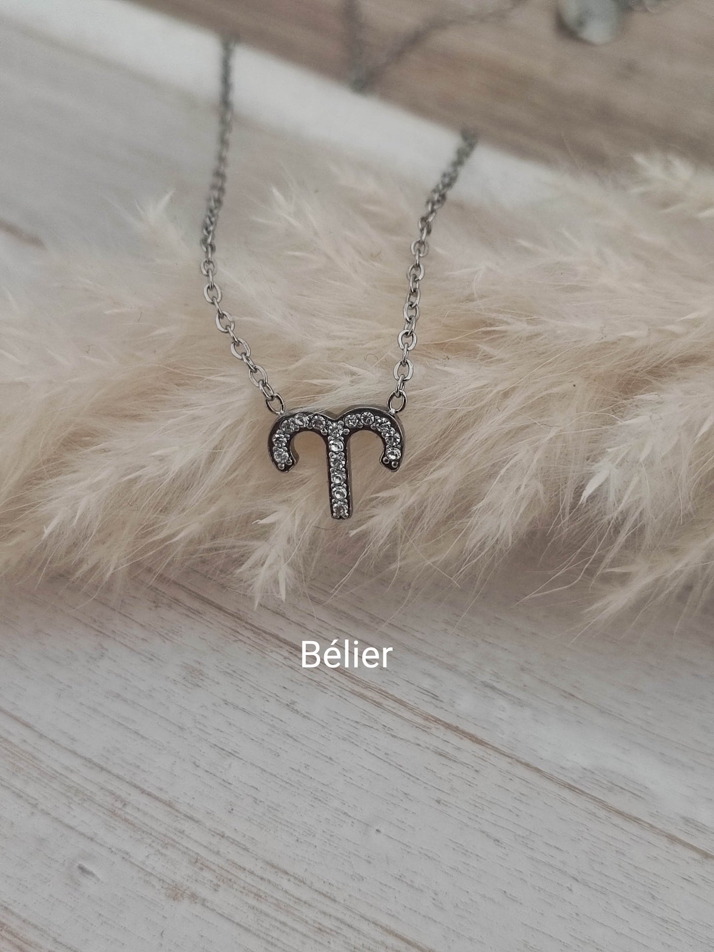 Collier Zodiaque silver