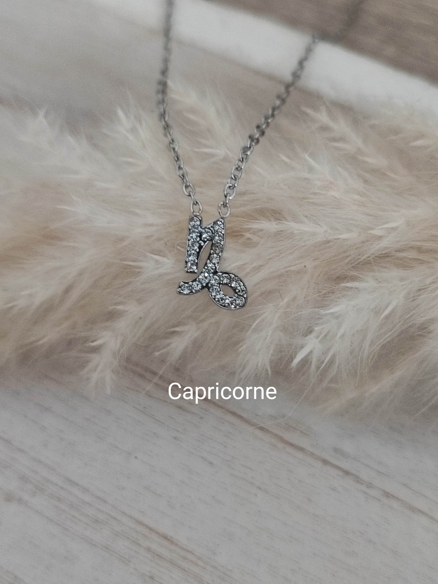 Collier Zodiaque silver