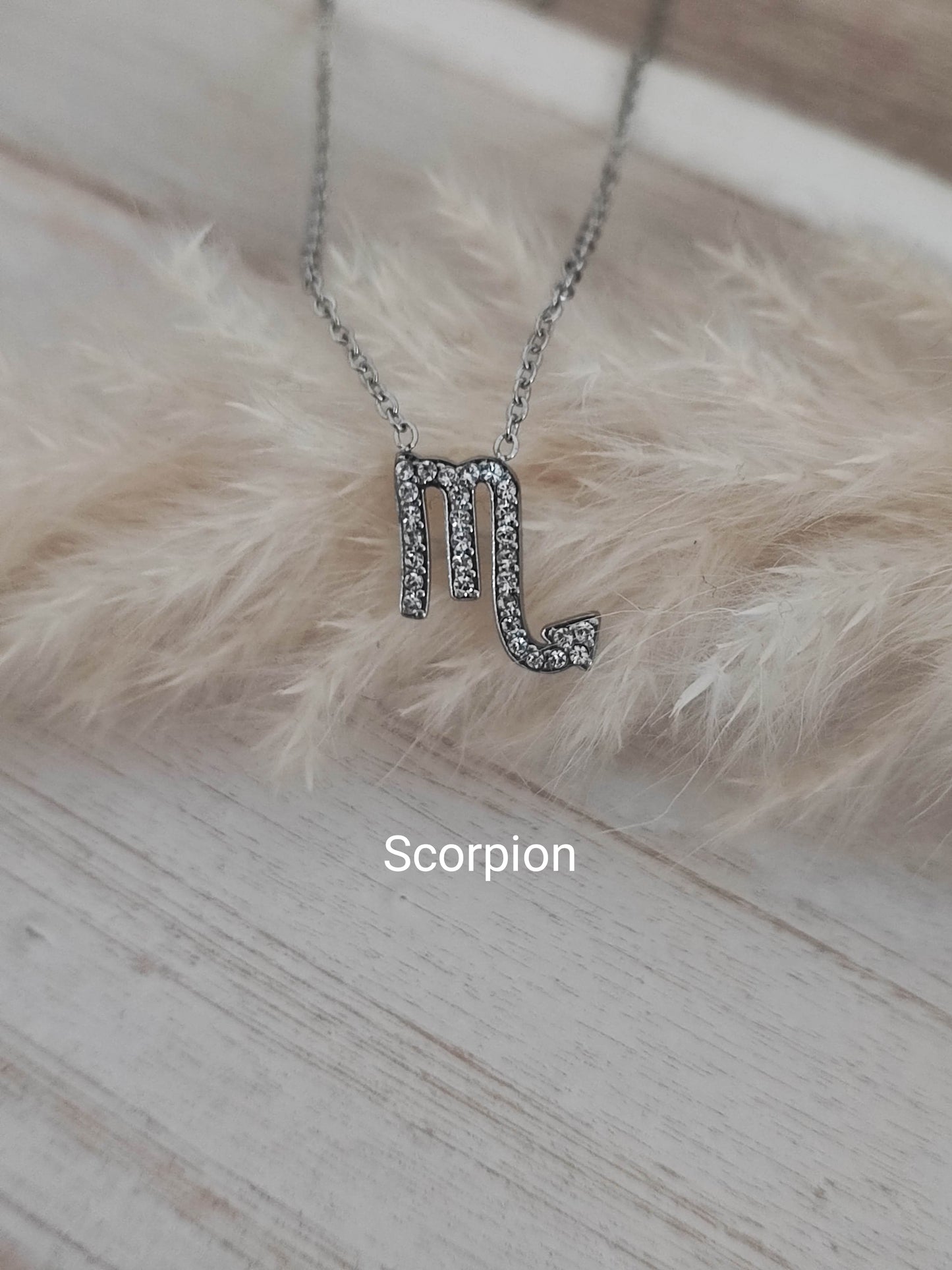 Collier Zodiaque silver