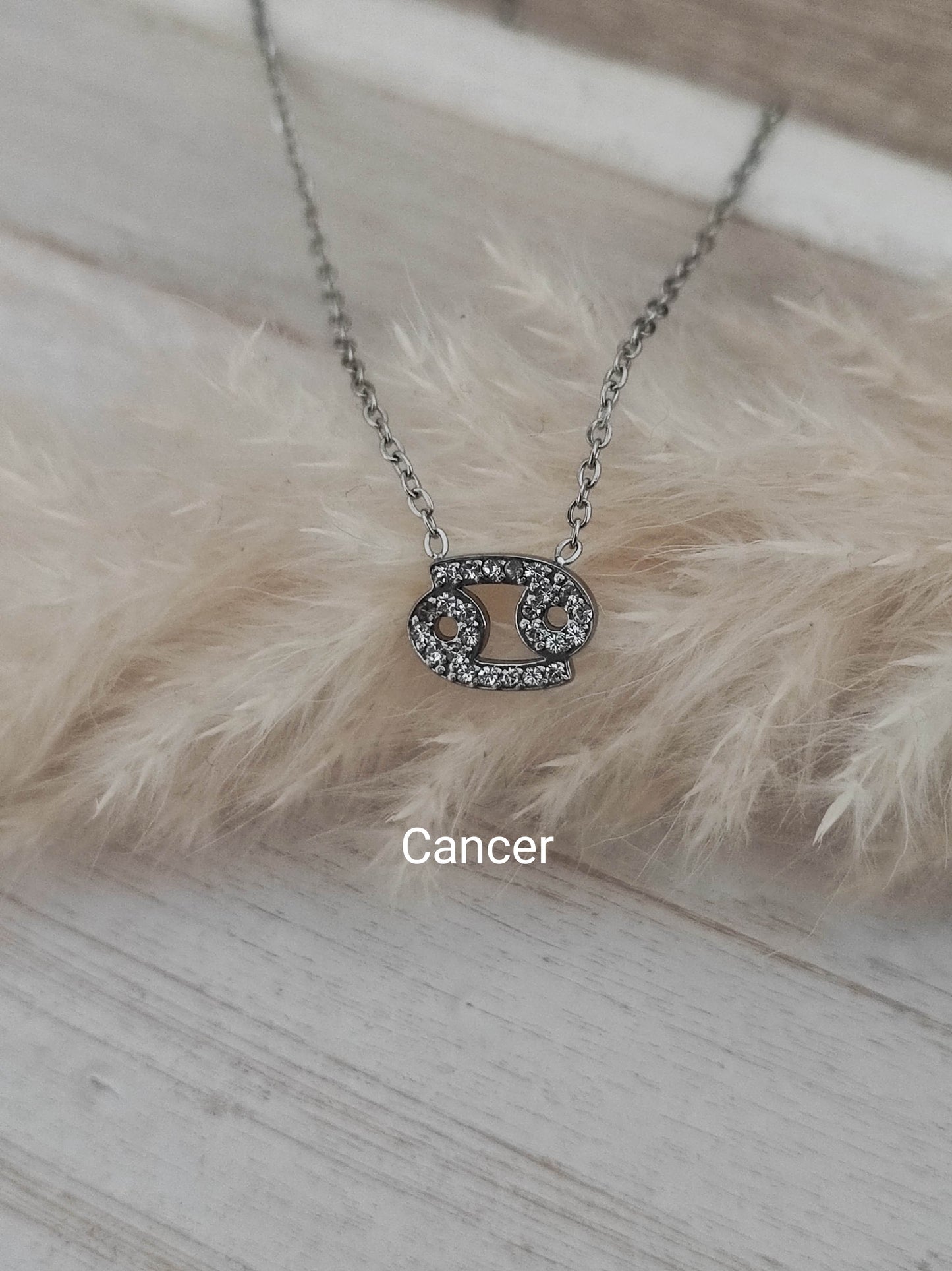Collier Zodiaque silver