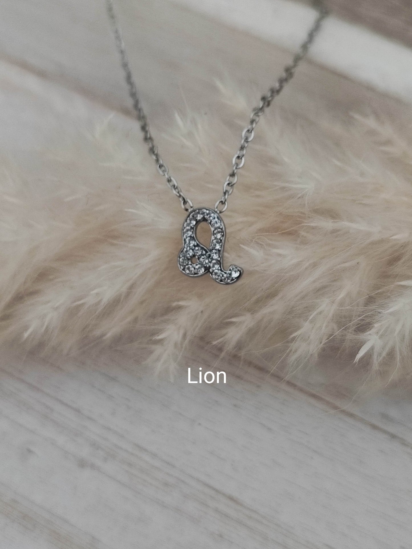 Collier Zodiaque silver