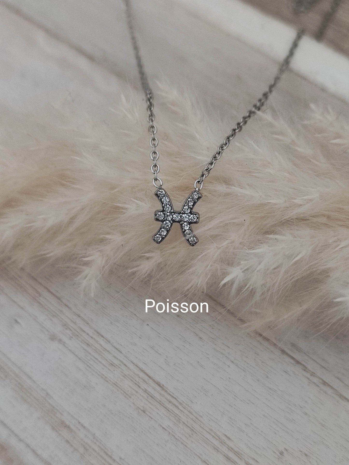 Collier Zodiaque silver